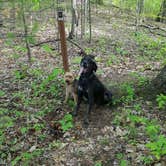 Review photo of Mash Fork Campground — Camp Creek State Park by Robyn S., April 4, 2017