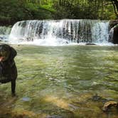 Review photo of Mash Fork Campground — Camp Creek State Park by Robyn S., April 4, 2017