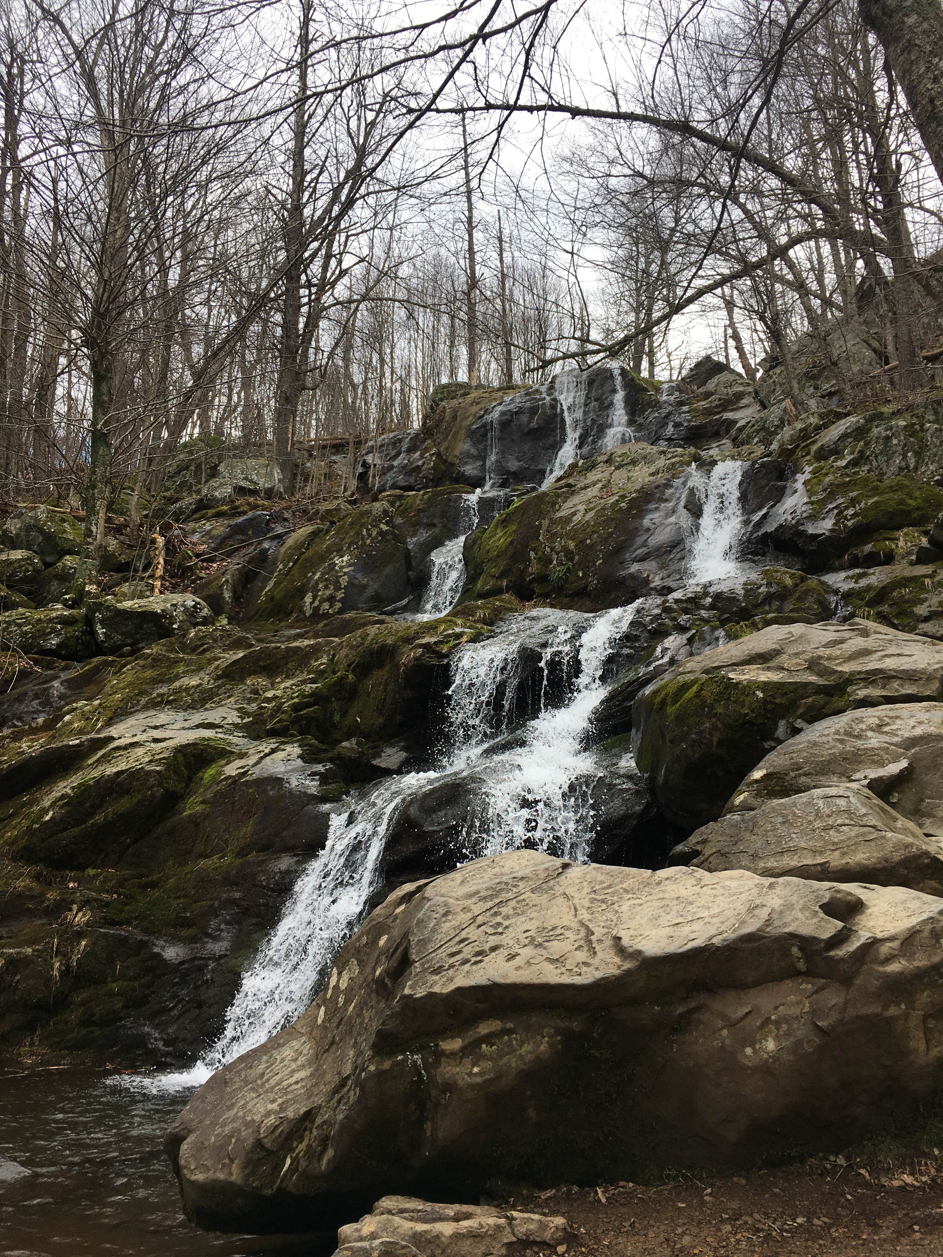 Camper submitted image from Big Meadows Campground — Shenandoah National Park - 2