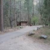 Review photo of Cave Springs by Dean H., April 4, 2017