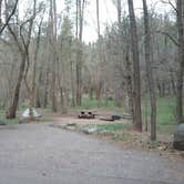 Review photo of Cave Springs by Dean H., April 4, 2017