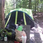 Review photo of Occoneechee State Park Campground by Sarah S., April 5, 2017