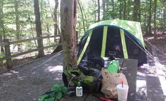 Sarah S.'s photo at Occoneechee State Park Campground near Clarksville, VA