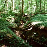 Review photo of Occoneechee State Park Campground by Sarah S., April 5, 2017