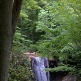 Review photo of Kentuck Campground — Ohiopyle State Park by Doreen M., June 16, 2016