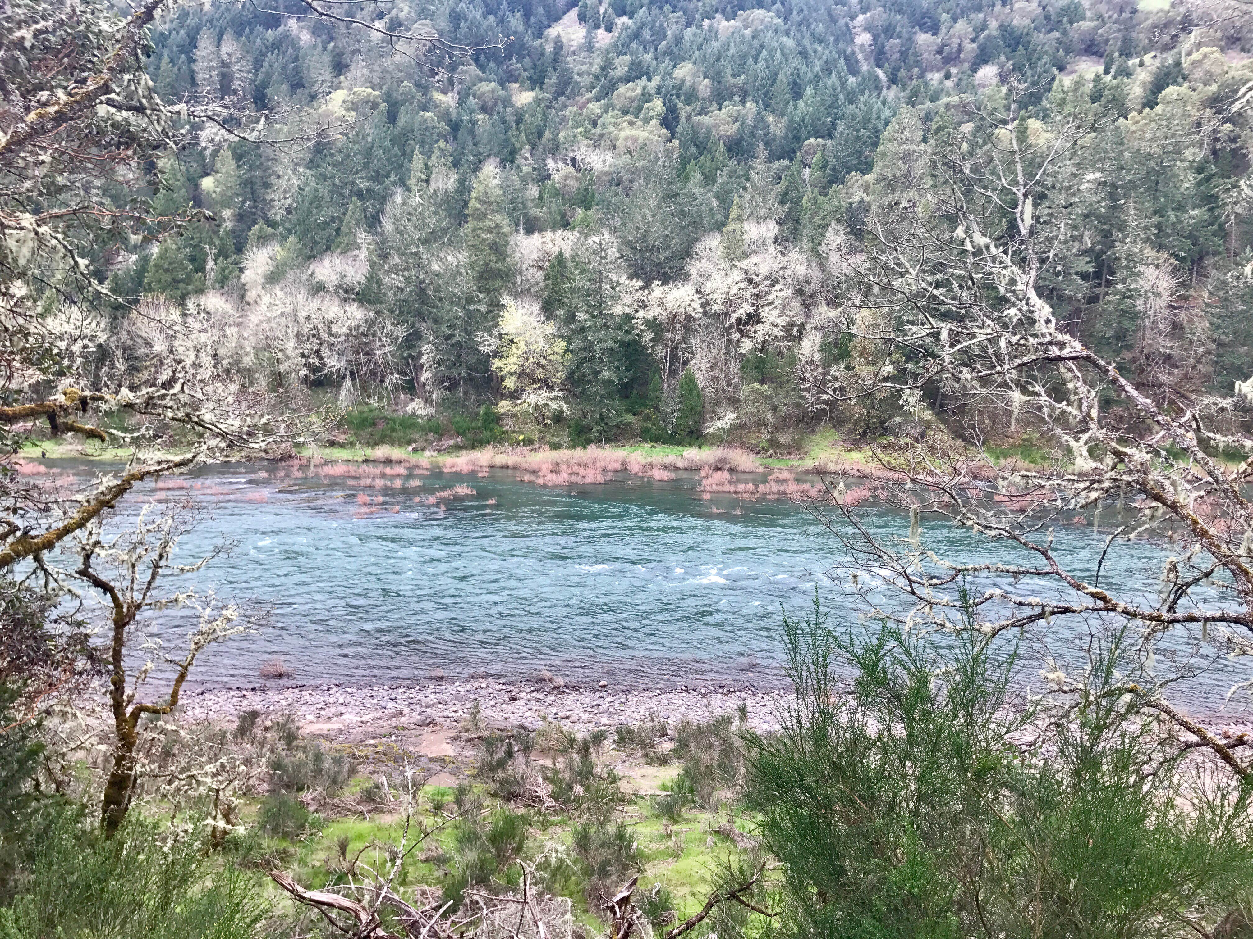 Camper submitted image from Whistlers Bend County Park - 4