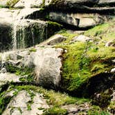 Review photo of Wawona Campground — Yosemite National Park by Joe H., April 9, 2017
