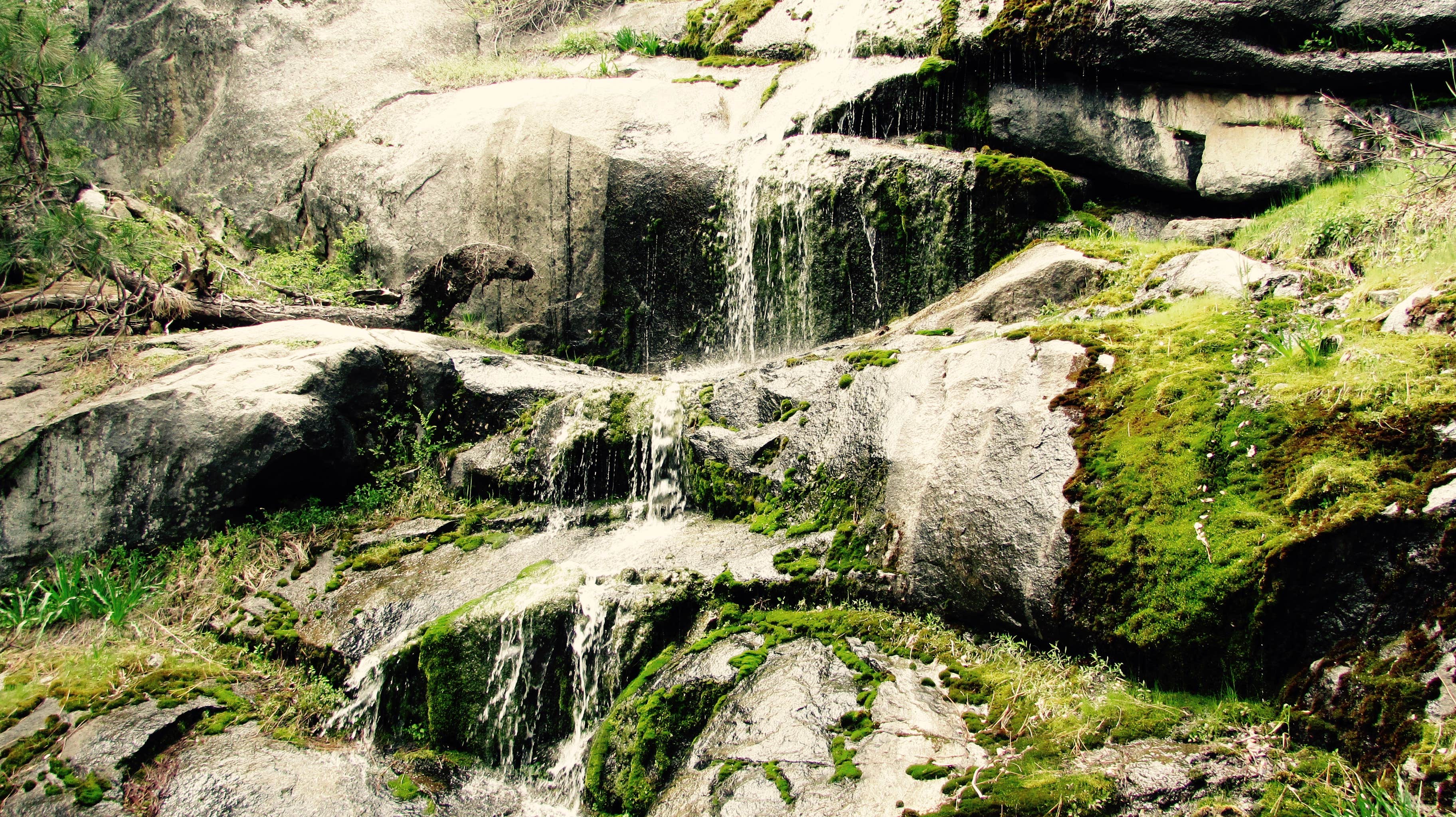 Camper submitted image from Wawona Campground — Yosemite National Park - 5