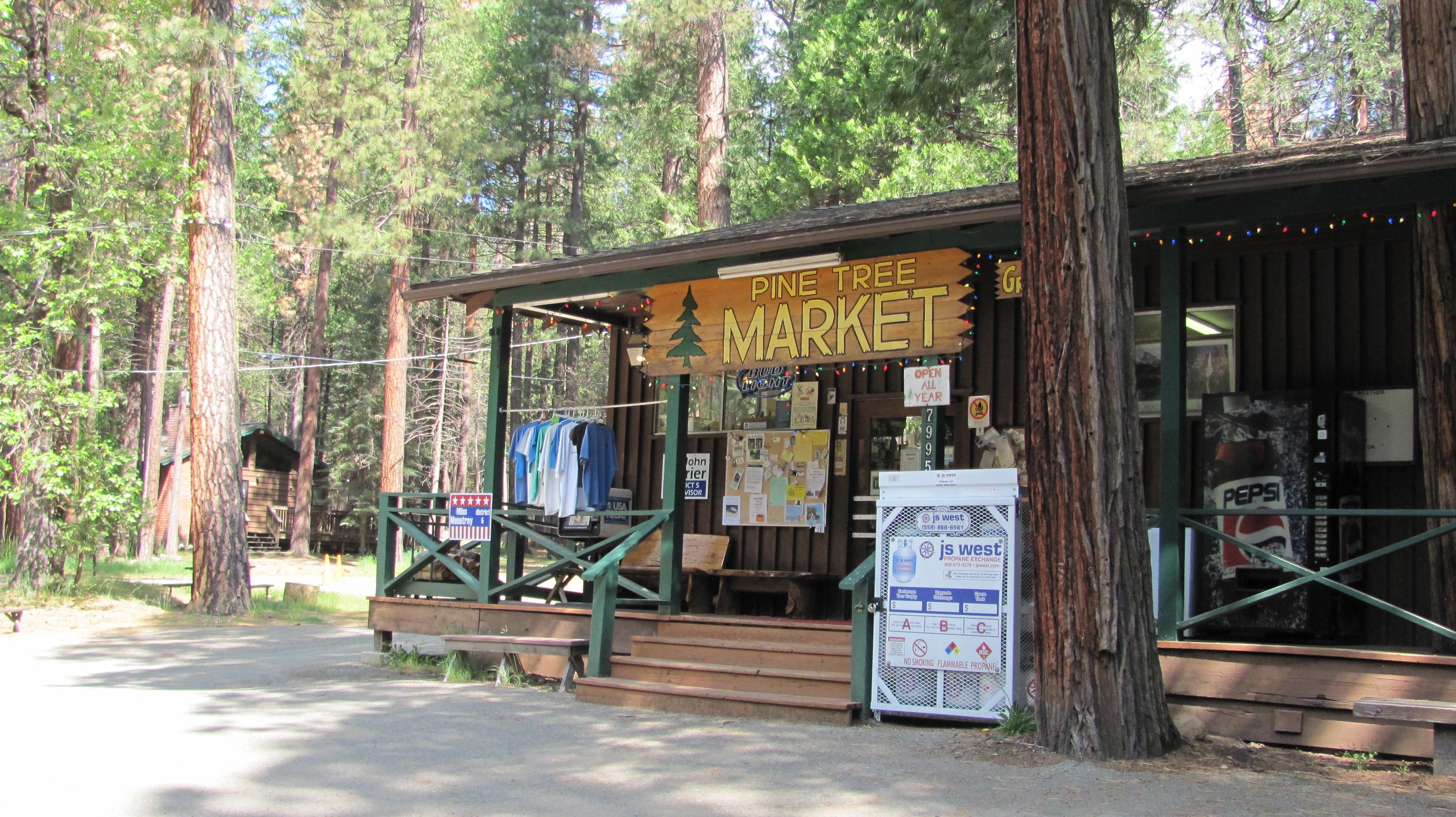 Camper submitted image from Wawona Campground — Yosemite National Park - 4