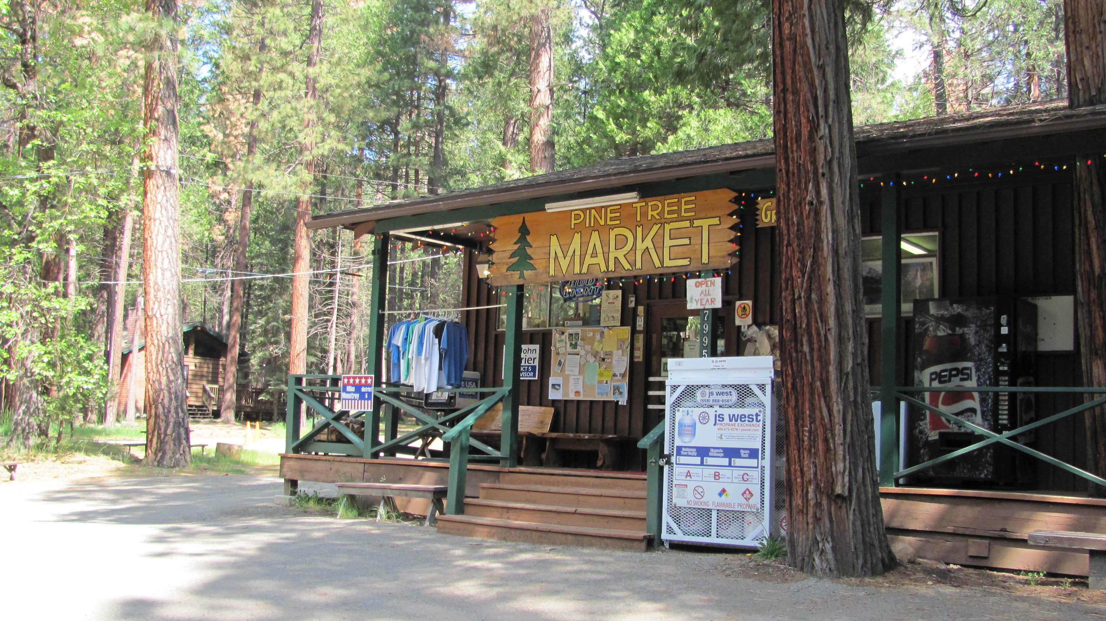 Camper submitted image from Wawona Campground — Yosemite National Park - 3
