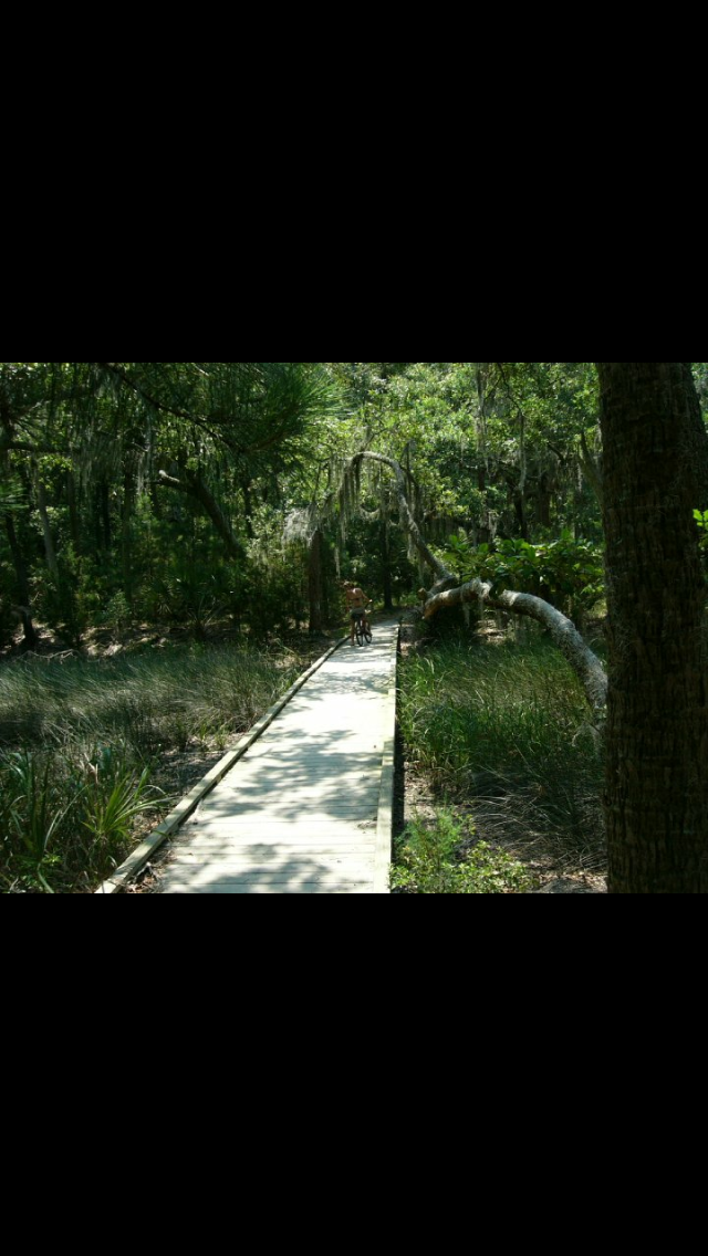 Camper submitted image from Edisto Beach State Park Campground - 3