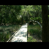 Review photo of Edisto Beach State Park Campground by Fain H., April 10, 2017