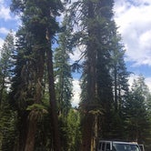 Review photo of Stony Creek Campground - Sequoia National Forest by Lucy L., April 10, 2017