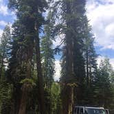 Review photo of Upper Stony Creek Campground — Sequoia National Forest by Lucy L., April 10, 2017