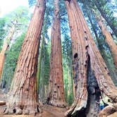 Review photo of Upper Stony Creek Campground — Sequoia National Forest by Lucy L., April 10, 2017