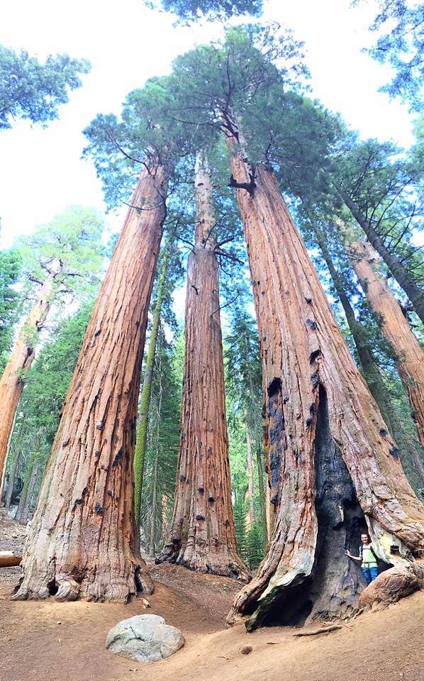 Camper submitted image from Upper Stony Creek Campground — Sequoia National Forest - 2