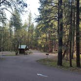 Review photo of Christopher Creek by Shaun S., April 11, 2017
