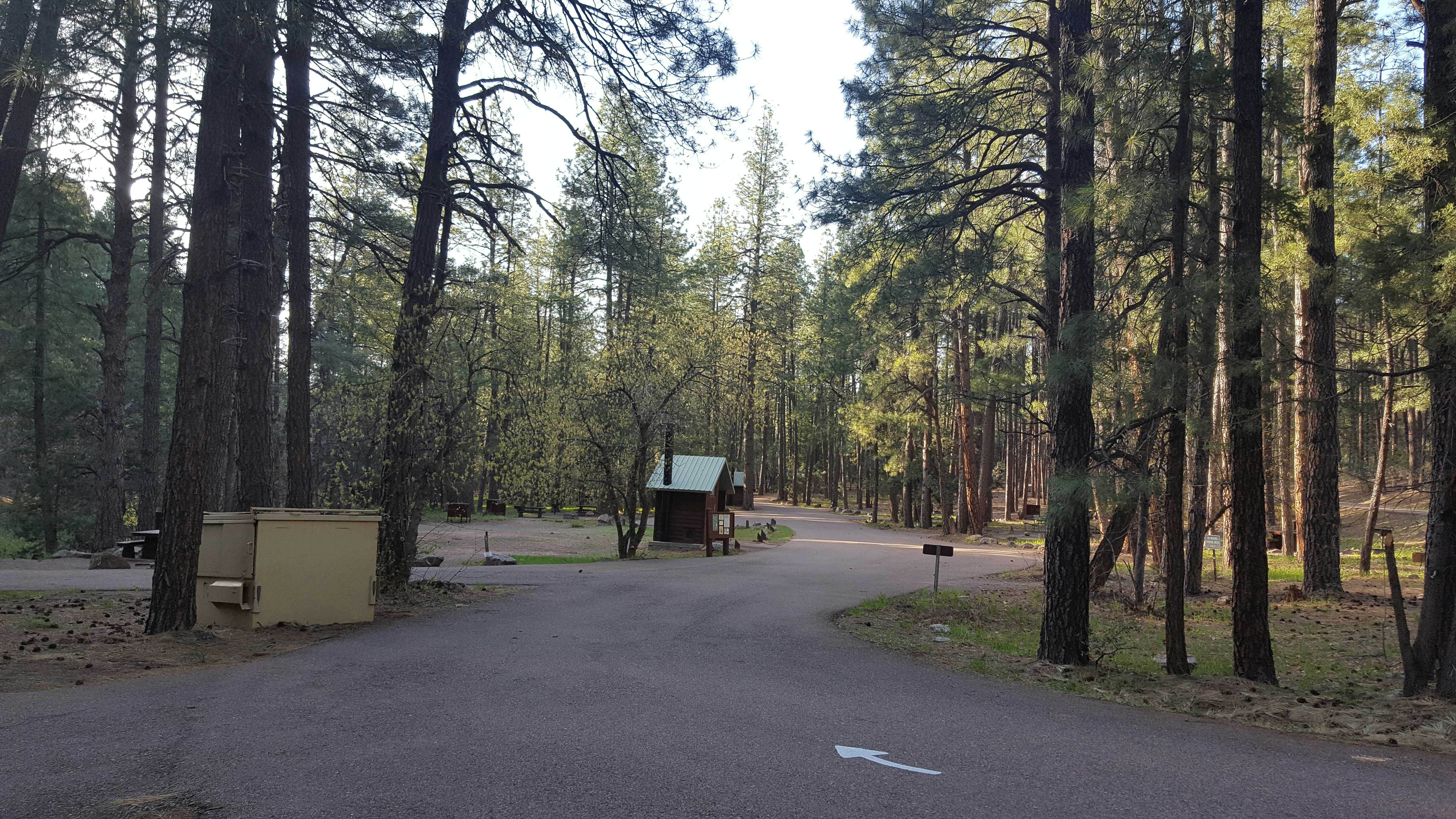Camper submitted image from Christopher Creek - 2