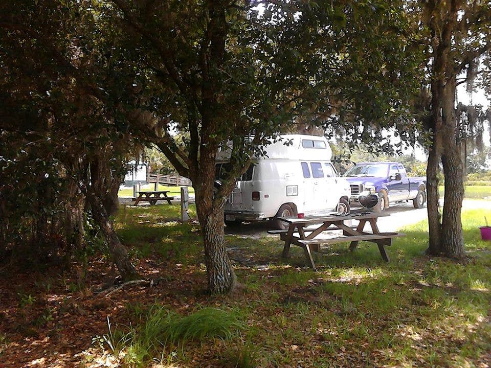 Camper submitted image from Kilpatrick Hammock Campground — Kissimmee Prairie Preserve State Park - 5