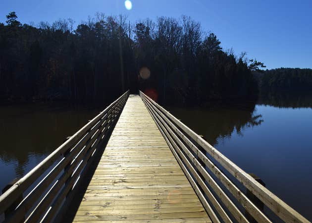 Chester State Park Camping | Chester, SC | The Dyrt