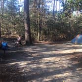 Review photo of Merchants Millpond State Park Campground by Chip G., April 12, 2017