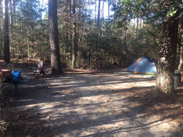 Camper submitted image from Merchants Millpond State Park Campground - 3