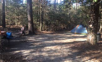 Chip G.'s photo at Family Campground — Merchants Millpond State Park near Gatesville, NC