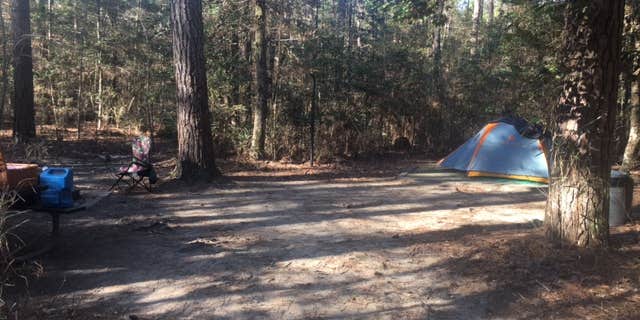 Camper submitted image from Family Campground — Merchants Millpond State Park