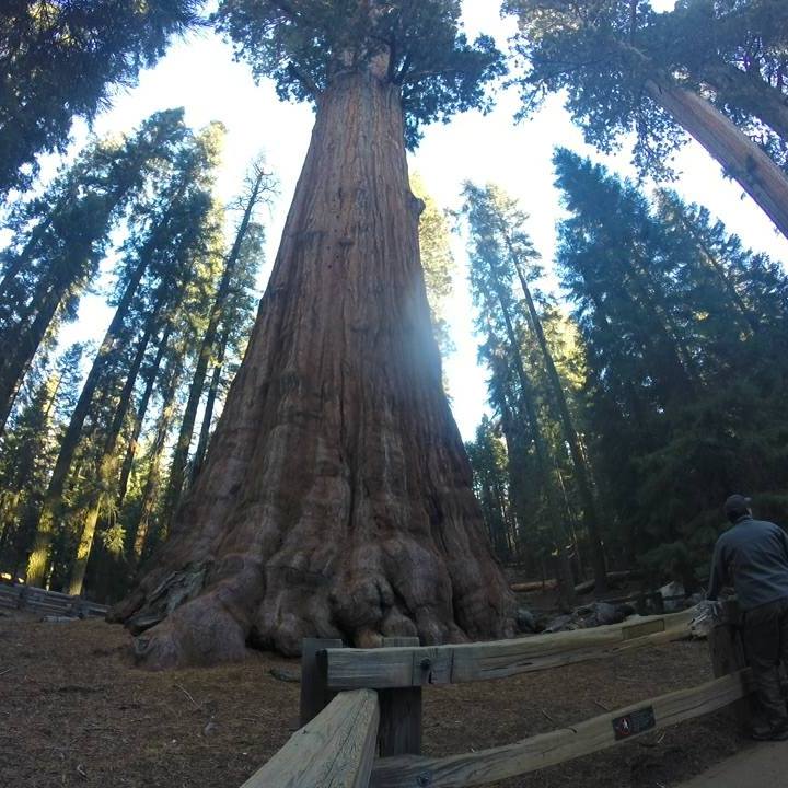 Camper submitted image from Potwisha Campground — Sequoia National Park - 2