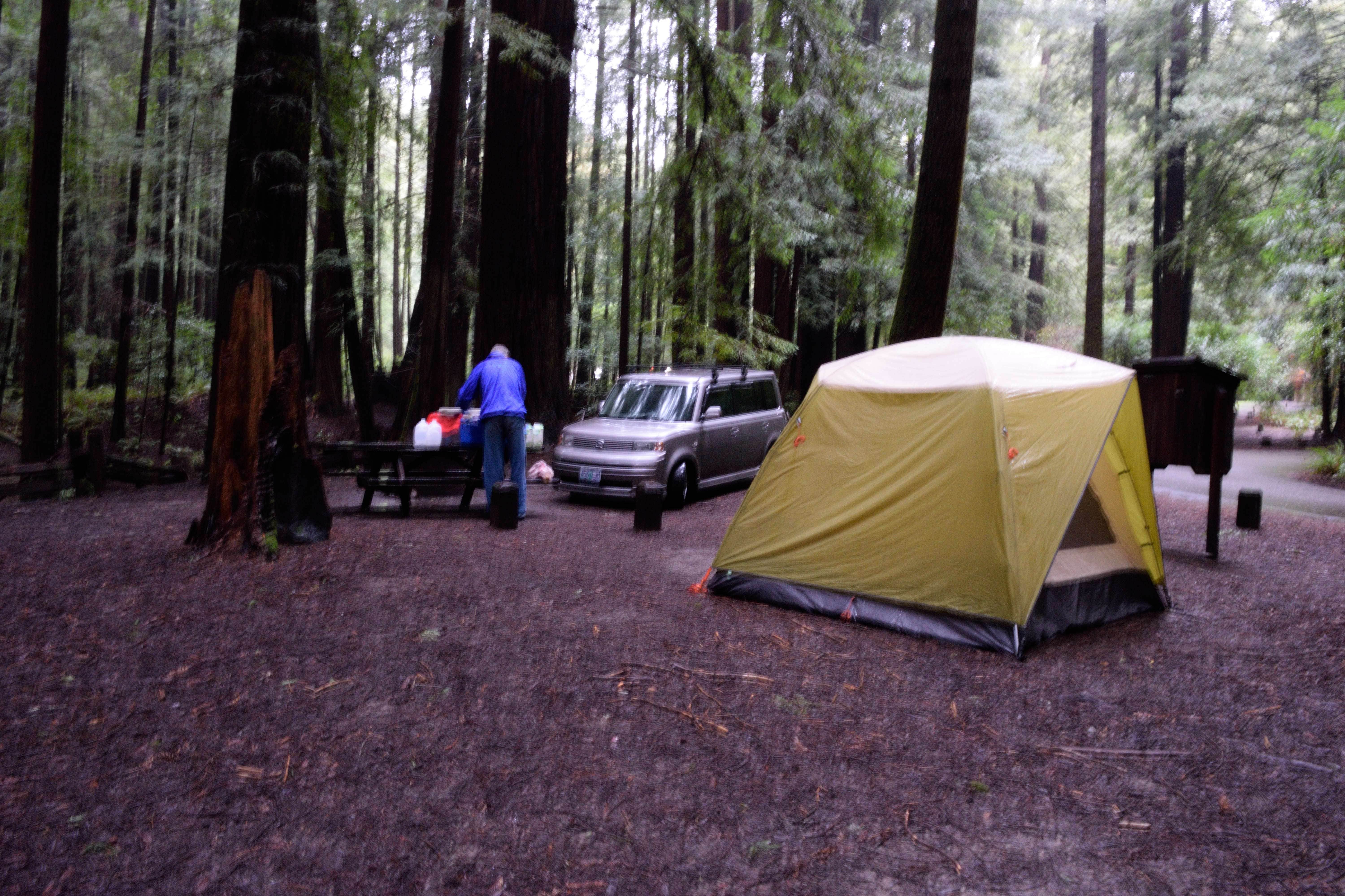 Camper-submitted photo at Burlington Campground — Humboldt Redwoods State Park near Hayfork, CA