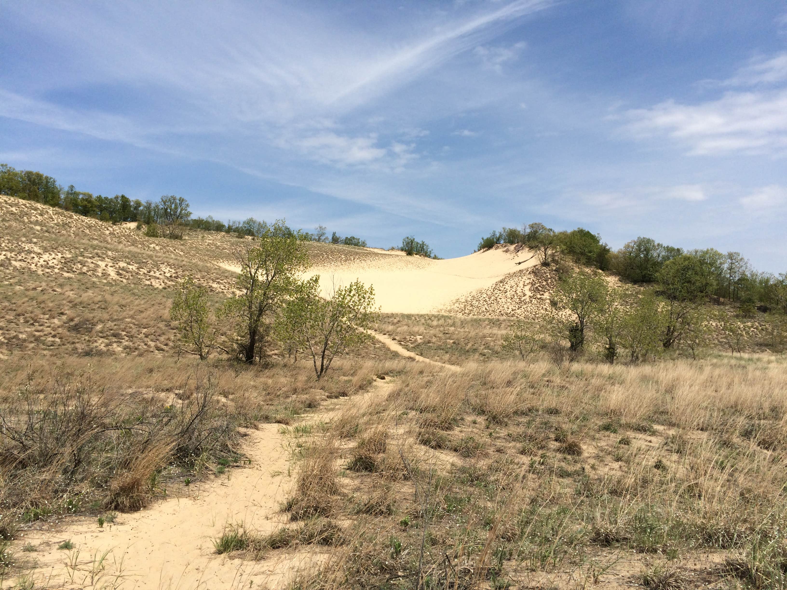 Camper submitted image from Warren Dunes State Park Campground - 4