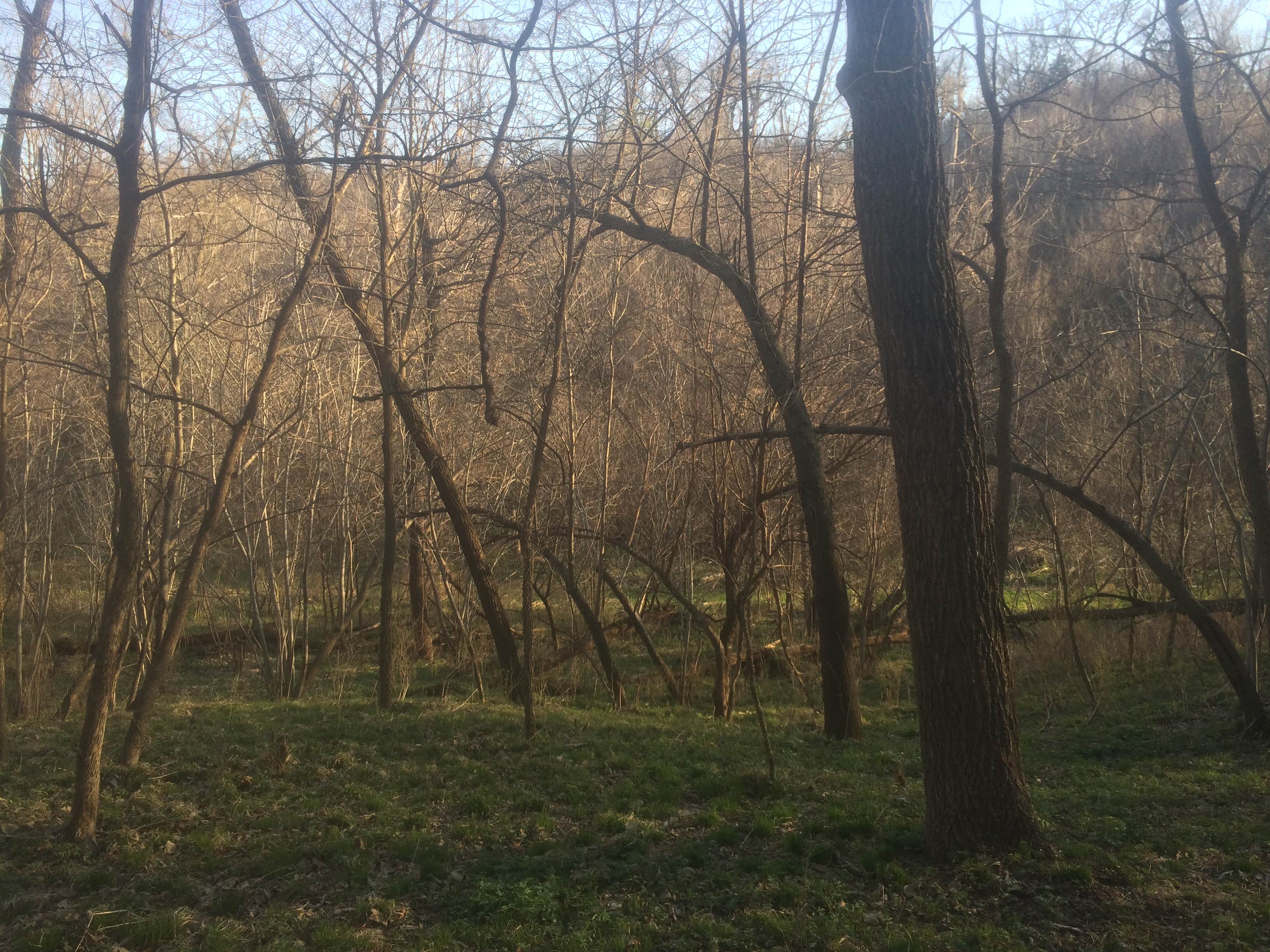 Nature