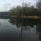 Review photo of Tyler State Park Campground by Dianne C., April 15, 2017