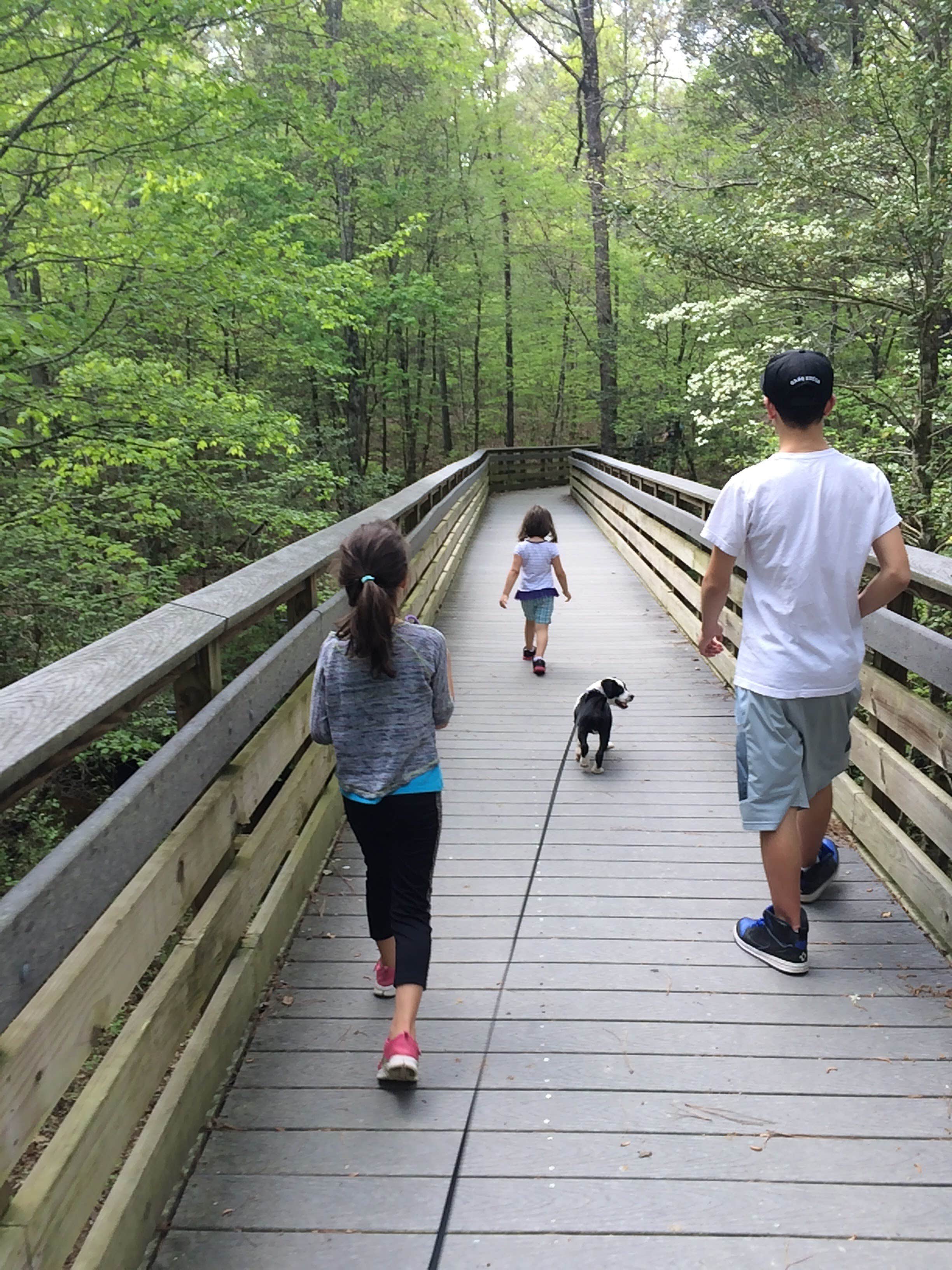 Camper submitted image from Canoe Camp — Raven Rock State Park - 2