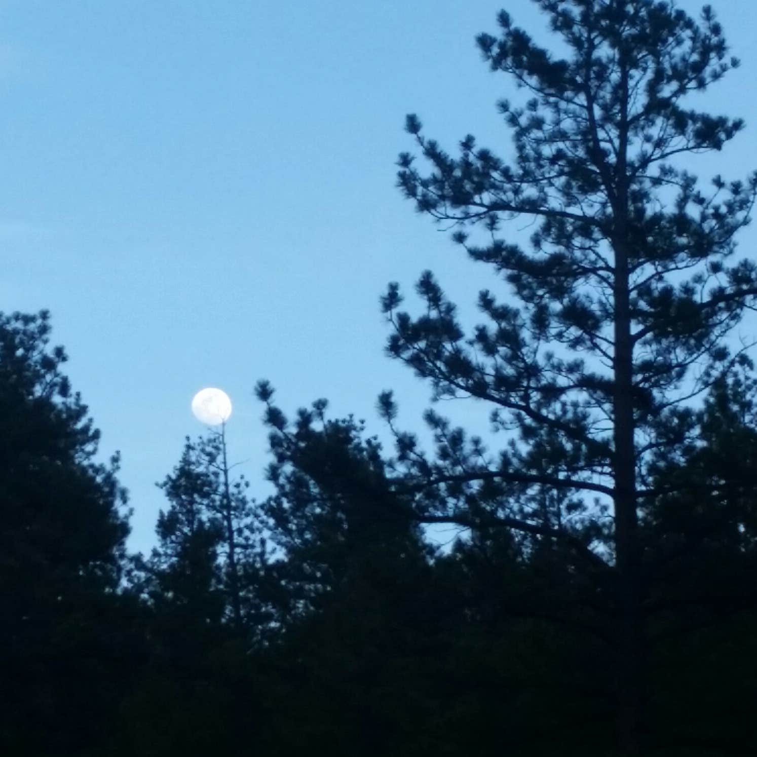 Osprey Camping The Dyrt