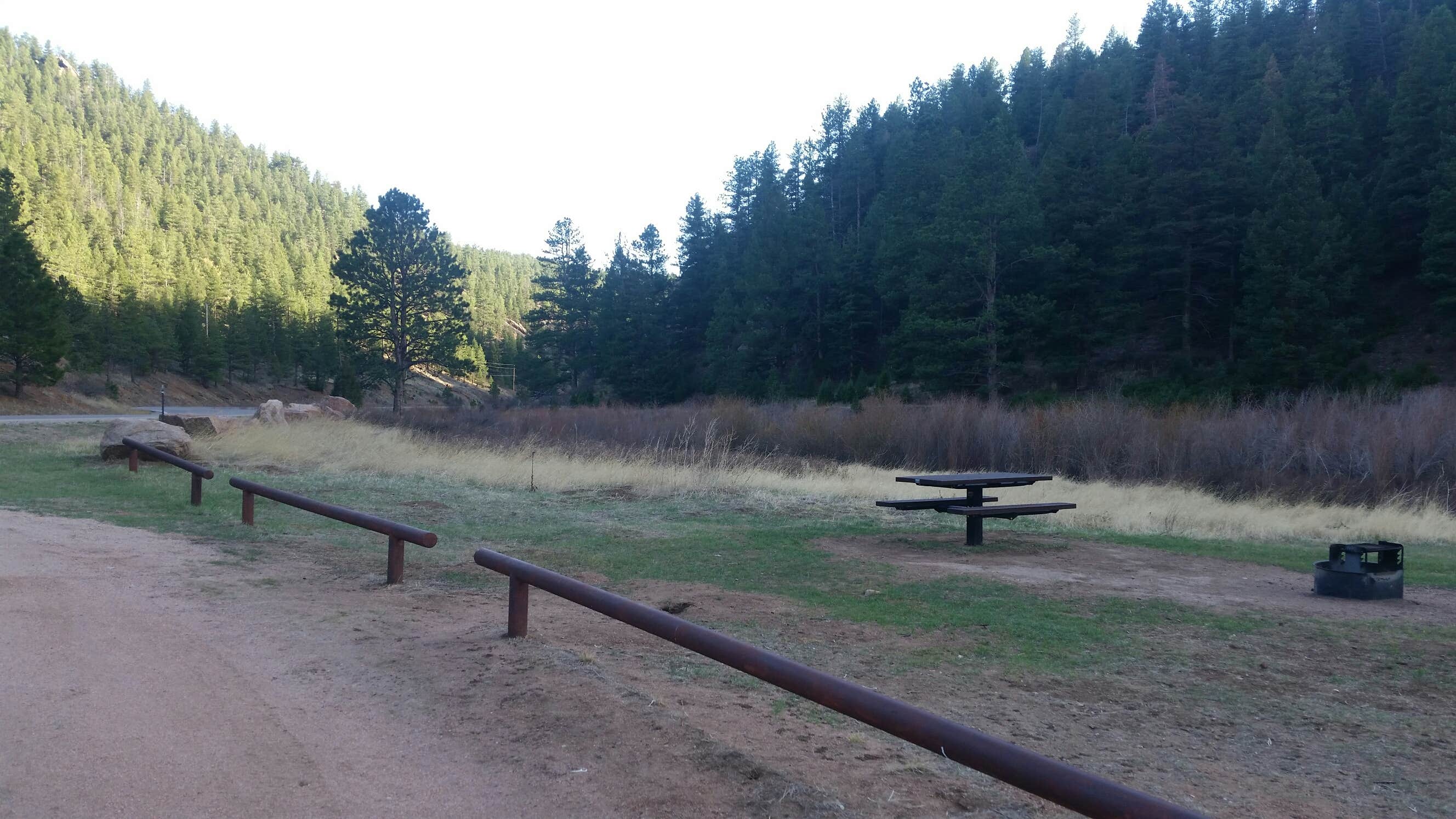 Camper-submitted photo at Osprey near Buffalo Creek, CO