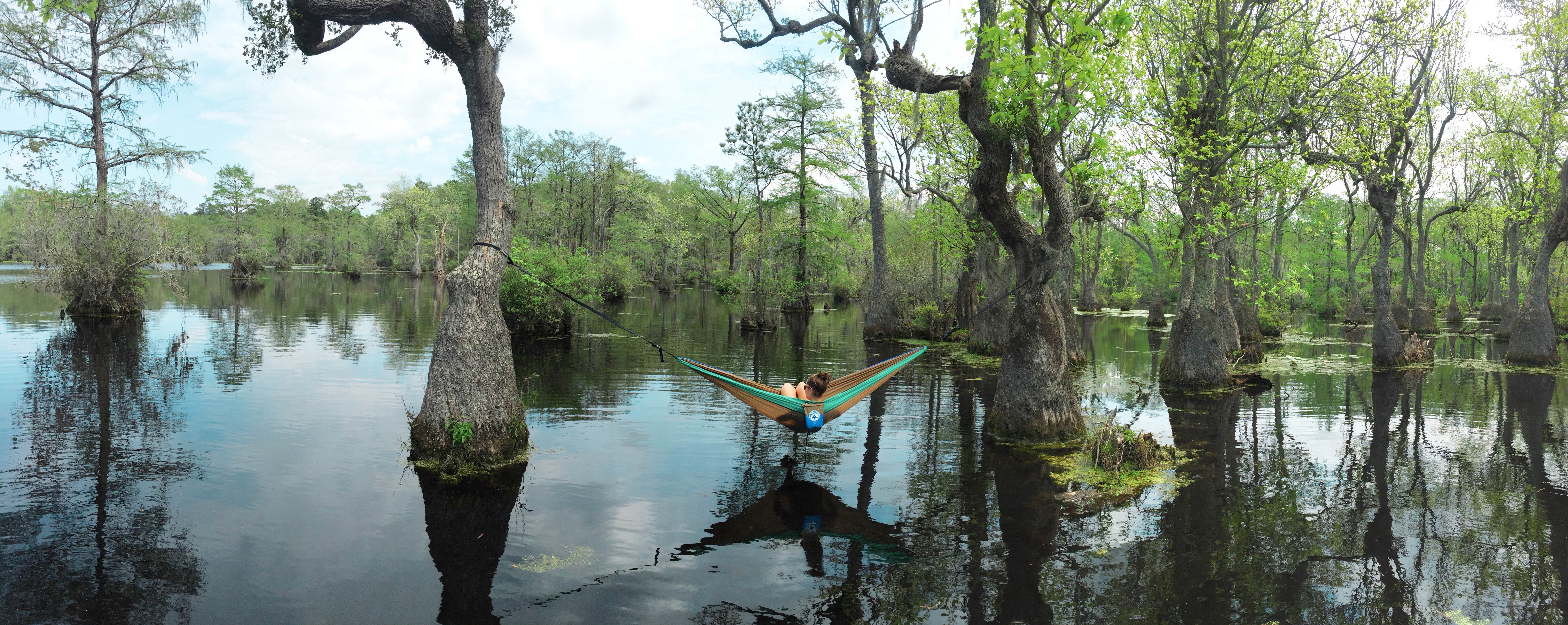 Camper submitted image from Merchants Millpond State Park Campground - 1