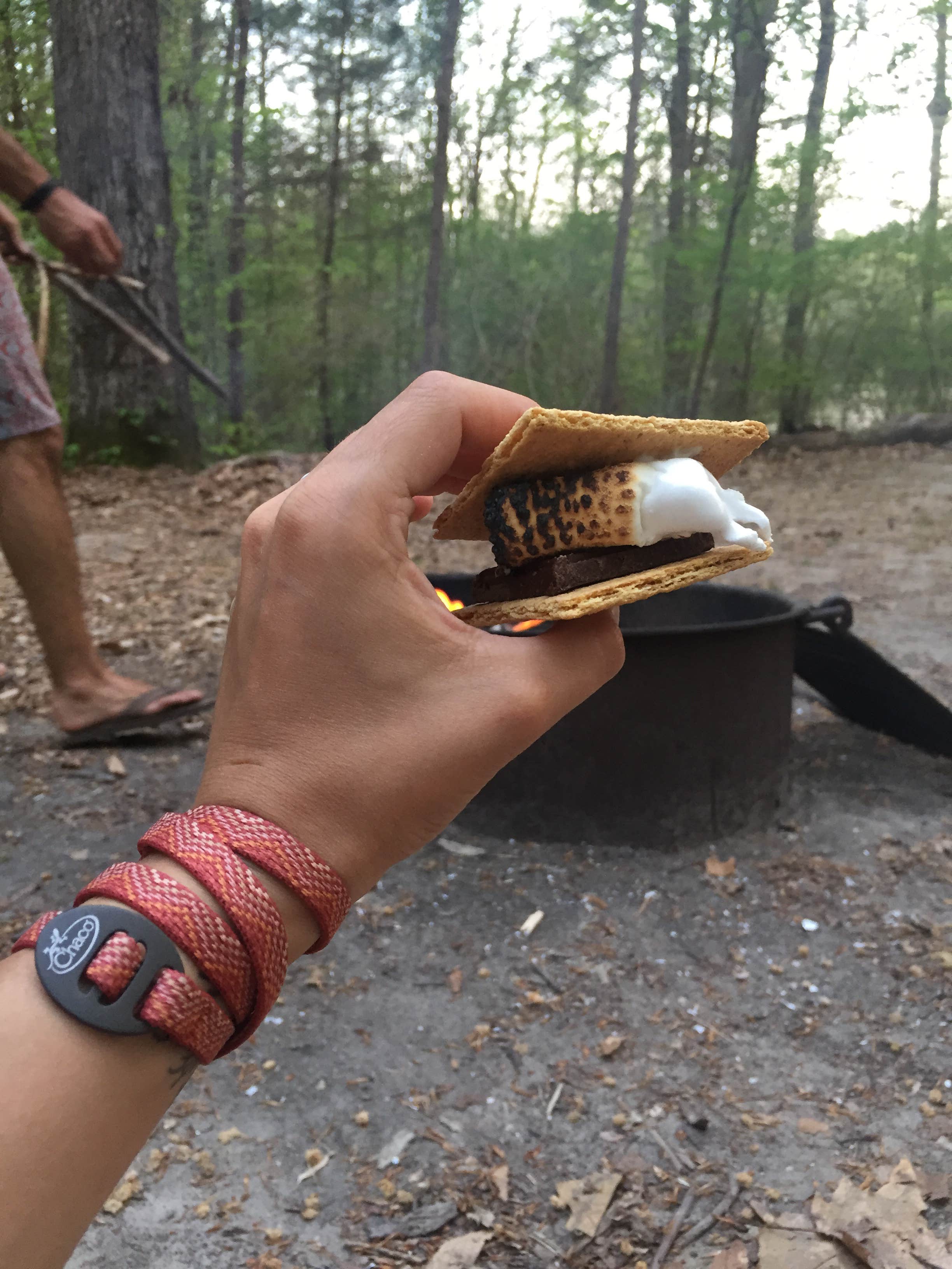 Camper submitted image from Merchants Millpond State Park Campground - 5