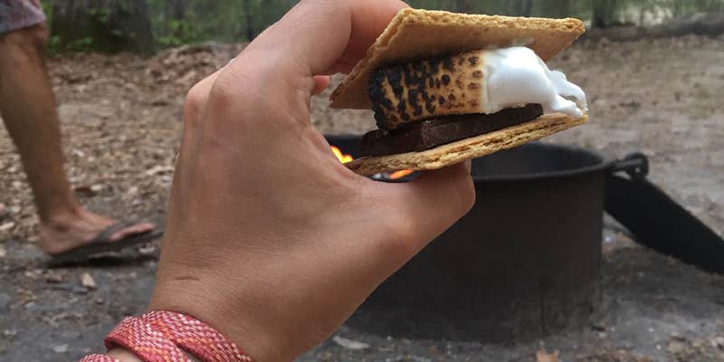 Camper submitted image from Merchants Millpond Canoe-In Campground — Merchants Millpond State Park