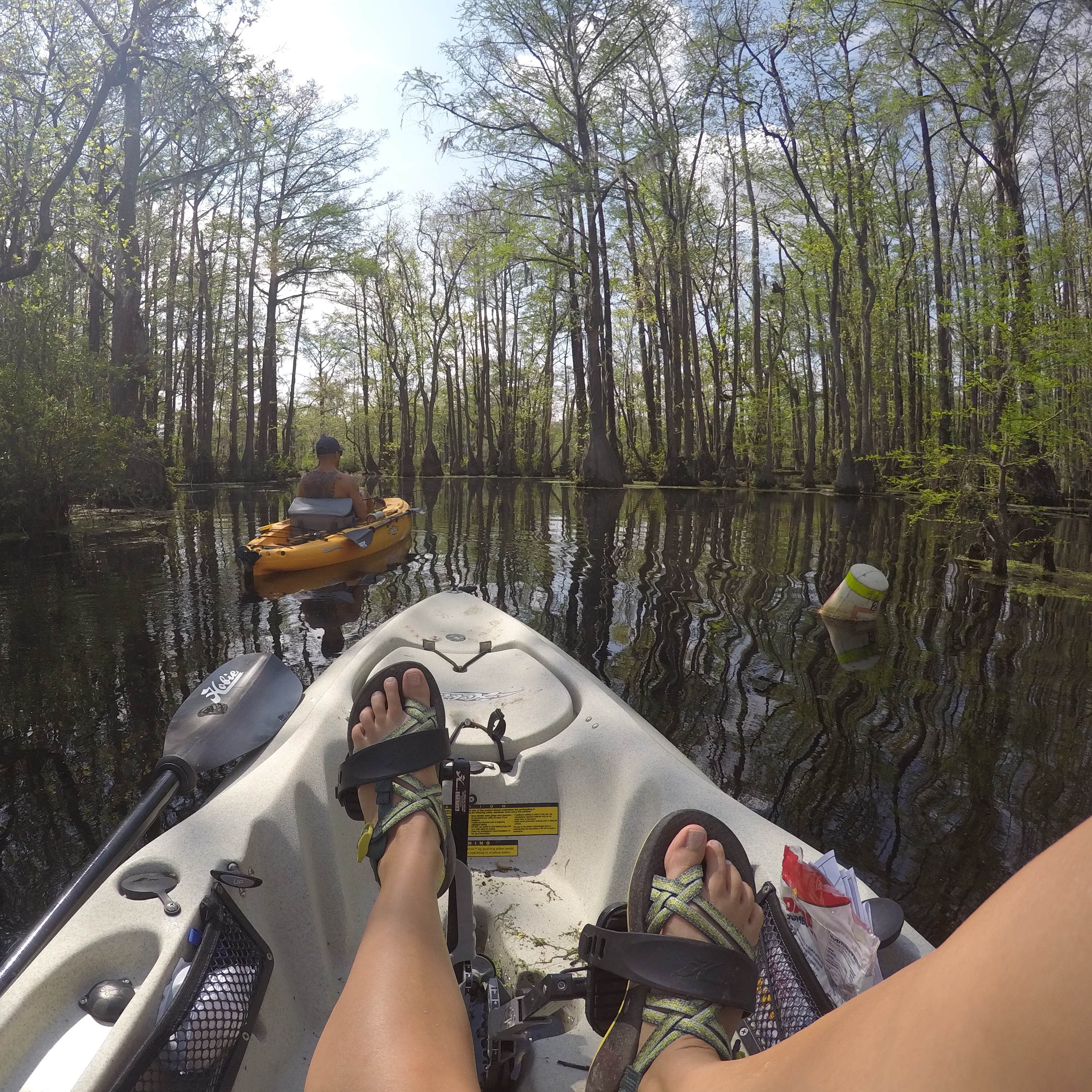 Merchants Millpond, the Most Remote State Park in North Carolina -  Explanders