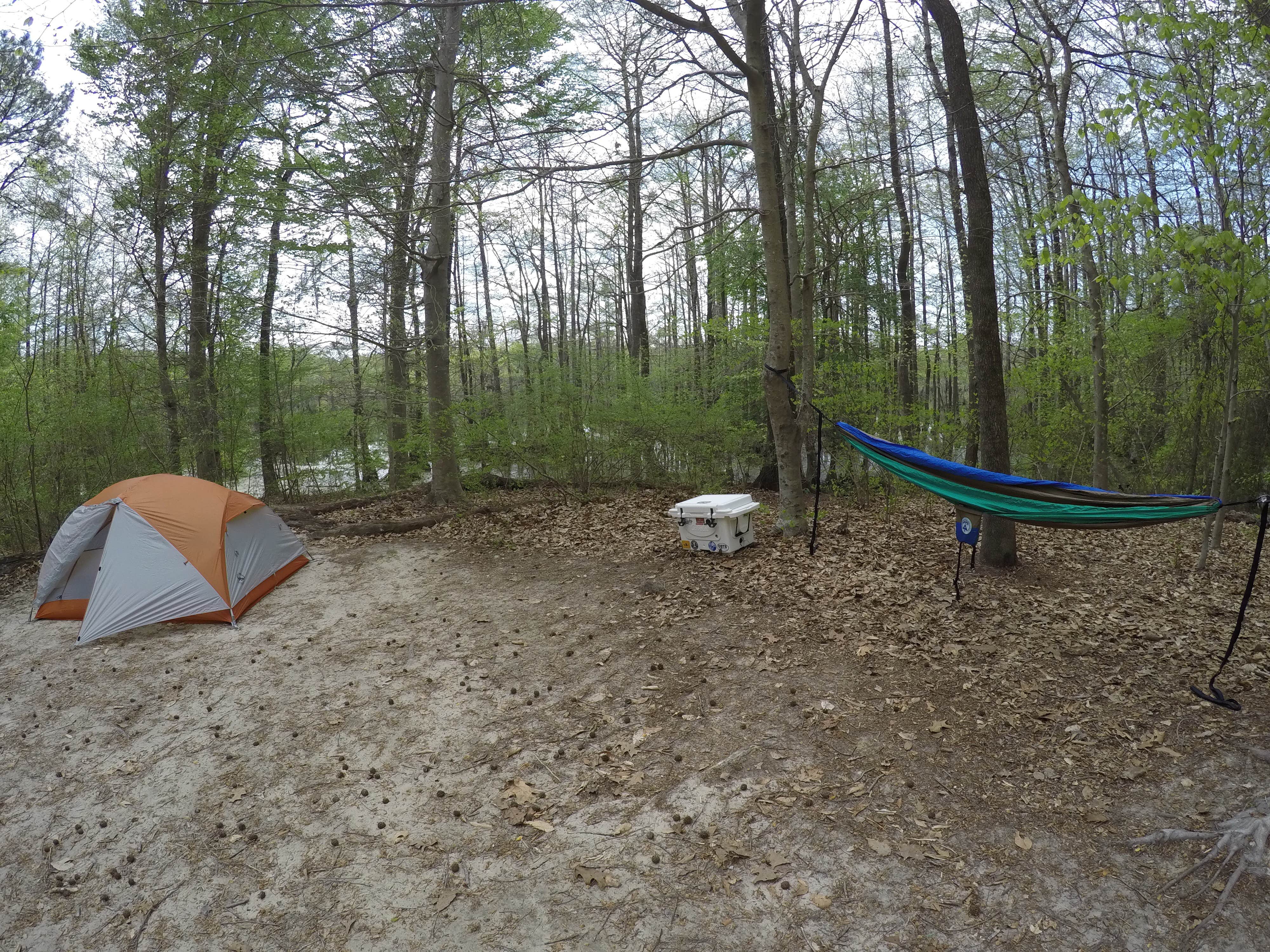 Heather R.'s photo of tent camping at Merchants Millpond Canoe-In Campground — Merchants Millpond State Park near Suffolk, VA