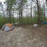Review photo of Merchants Millpond State Park Campground by Heather R., April 16, 2017