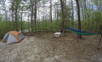 Heather R.'s photo at Merchants Millpond Canoe-In Campground — Merchants Millpond State Park near Suffolk, VA