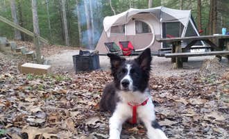 Camping near Red River Gorge Retreats (Miguel's Pizza): Koomer Ridge Campground, Pine Ridge, Kentucky