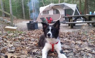 Brittany S.'s photo of camping with pets at Koomer Ridge Campground — Daniel Boone National Forest near Auxier, KY