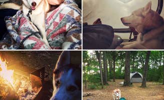 Lily B.'s photo of camping with pets at Fairfield Lake State Park - PERMANENTLY CLOSED in Texas