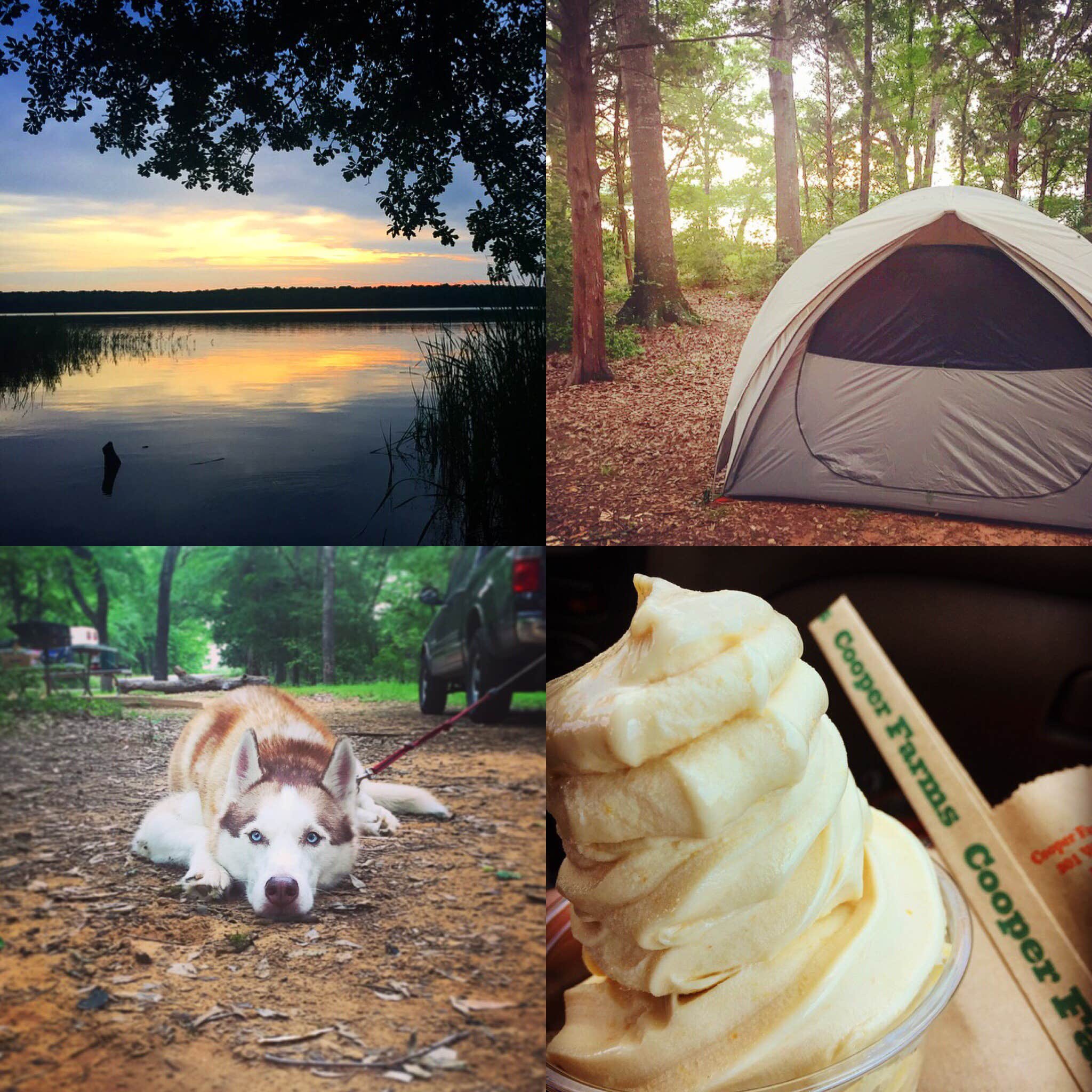 Lily B.'s photo at Fairfield Lake State Park - PERMANENTLY CLOSED near Grapeland, TX