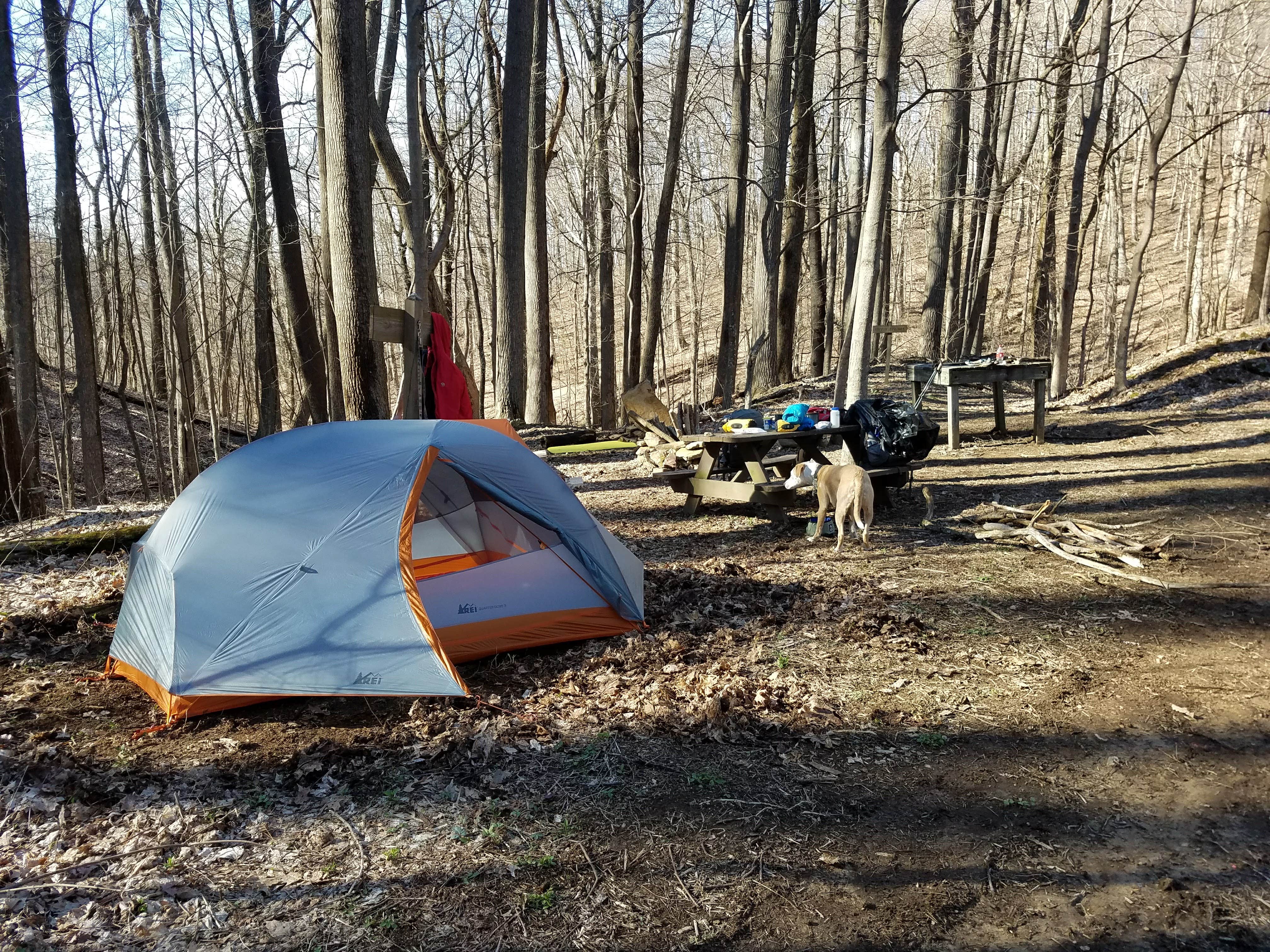 Camper submitted image from Frozen Head State Park Campground - 2
