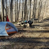 Review photo of Frozen Head State Park Campground by Sarah E., April 18, 2017