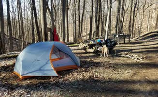Sarah E.'s photo at Frozen Head State Park Campground near Kingston, TN